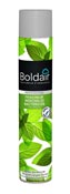 Boldair bactericidal cardboard mint 6x500 ml