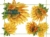 Acheter Paper placemat Champs de Tournesol 30 x 40 Pack of 500