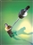 Acheter _UK_Ceuilleur de projecteur Unger