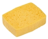 Wet Spontex sponge number 6