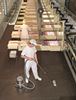 Nilfisk GM80 STD Nilfisk Advance Business