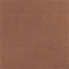 Disposable paper towel 30 x 39 2-ply chocolate package 2400