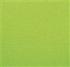 Disposable paper towel 30 x 39 2-ply package pistachio 2400
