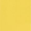 Disposable paper towel 39 X 39 2 ply package lemon 1800