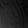 Dunilin napkin nonwoven Lily black 40 x 40 packs of 240