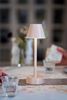 Soft pink wireless led lamp zelda x6