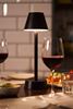 Zelda graphite wireless led lamp x6