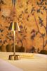 Zelda brass wireless LED lamp x6