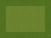 Dunicel organic leaf green placemat 30x40