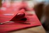 211532 - Dunisoft Bio Christmas napkin 40 x 40 cm by 360