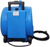 Professional hot air carpet blower/dryer