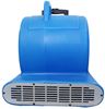 Professional hot air carpet blower/dryer