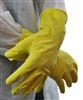 Professional household glove pair