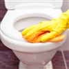 Tork toilet seat cleaner 8x475 ml