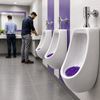 5063021 - Lavender scented urinal grid