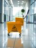 Cleaning material BIBAC dual bucket with press flat