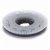 Soft brush nylon carpet shampoo Numatic D 450 mm