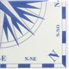 Non-woven towel deco Windrose 40 X 40 the 800