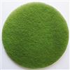 Diamond disc Janex D 305 mm green N4 grain 3000 by 2