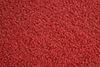 Entrance mat 580gsm red 60x80cm