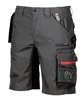 Bermuda black work start