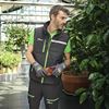 WFU280RL - Ares asphalt grey/green work shorts