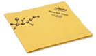 Vileda Washcloth