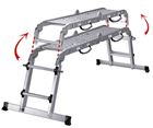 Convertible ladder