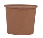 Biodegradable bowl