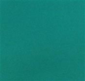 Disposable paper towel 30 x 39 2 ply green light package 2400