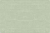 Duni Pistachio Green Silicone Placemat 30 x 45 cm Pack of 6