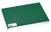 Placemat paper 30 x 40 pine green package of 500