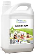 Algaecide 100 5 L preventive