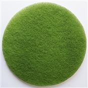 Diamond disc Janex D 305 mm green N4 grain 3000 by 2