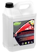 Car body cleaner and painted sheet metal 5L