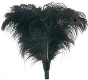 Ostrich feather duster Unger