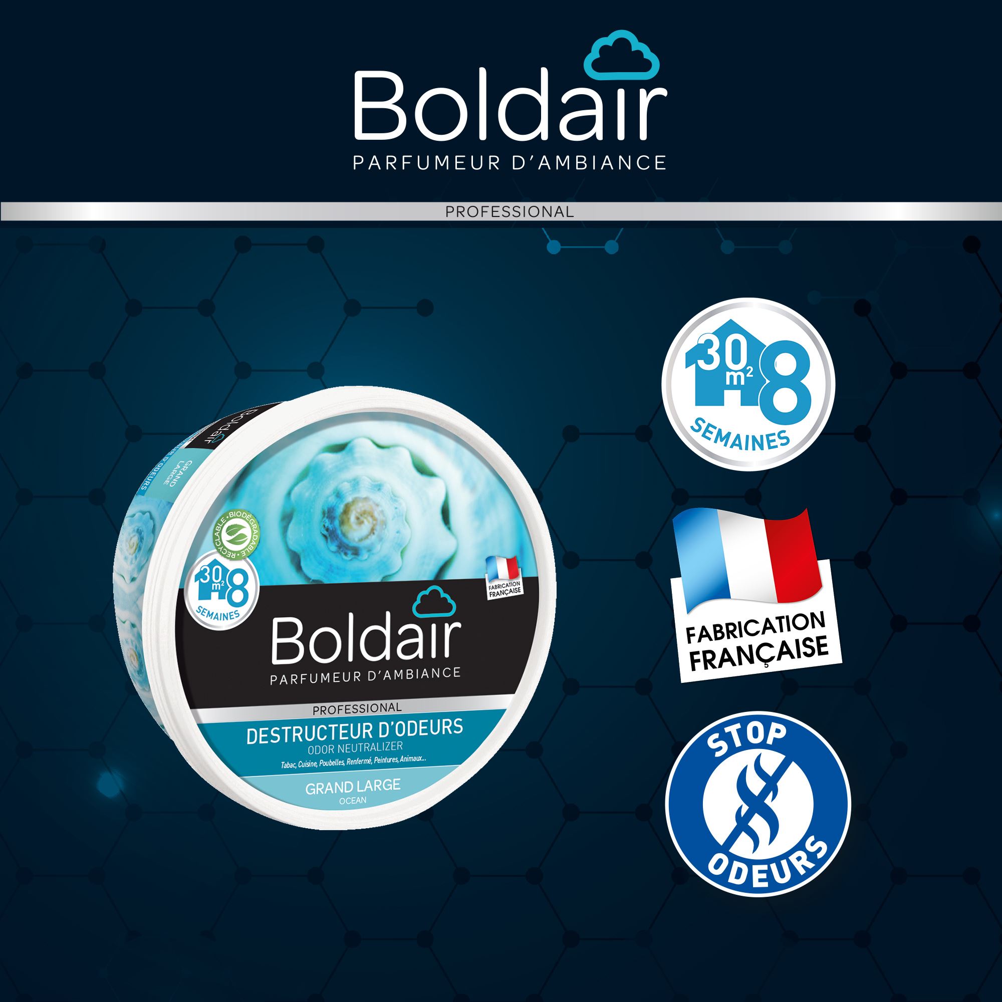 Destructeur d'odeurs gel Boldair neutre 300g