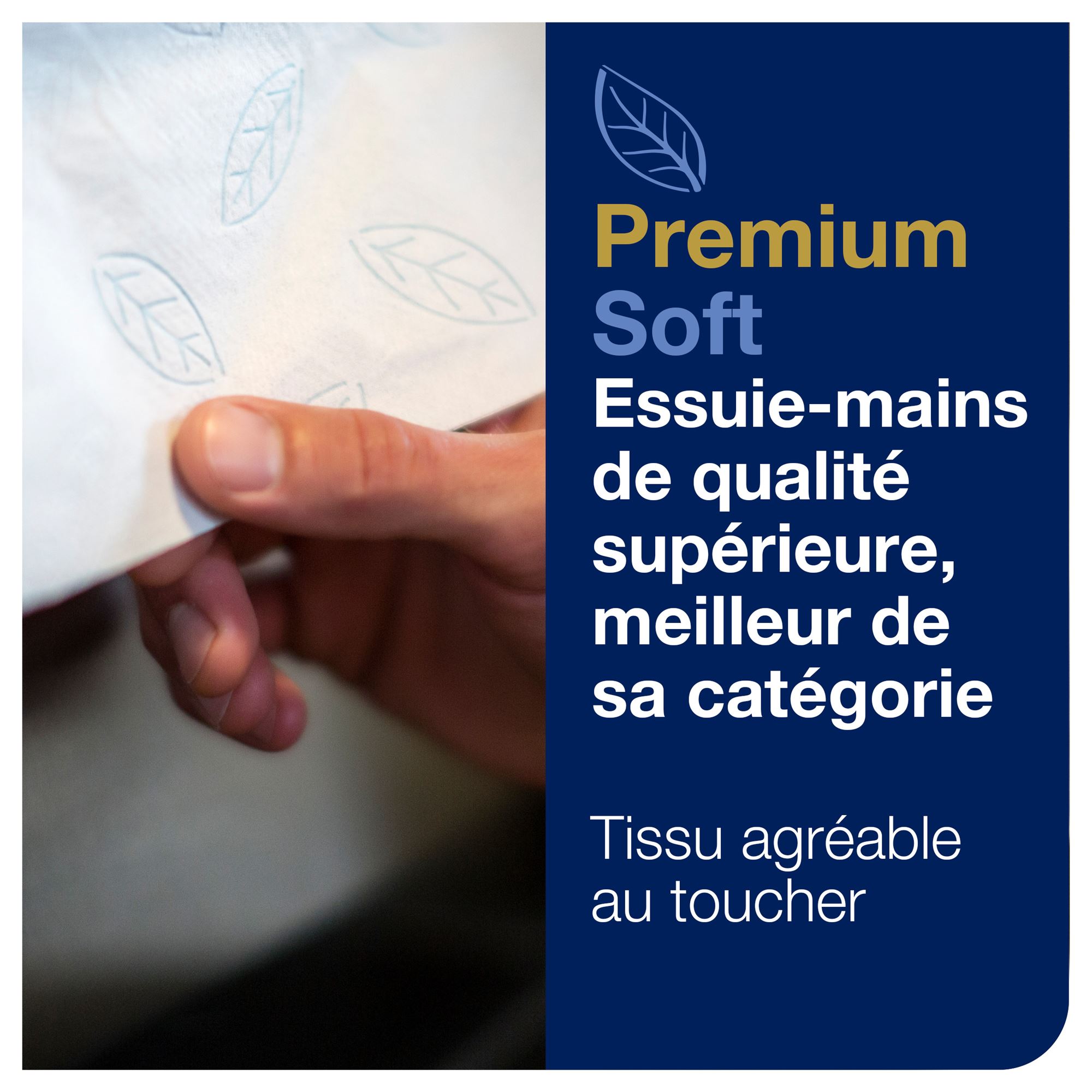 PAPIER ESSUIE MAINS H1 TORK PREMIUM - Carton de 6 rouleaux ESSITY - SCA  TORK - La capem