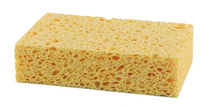 Standard wet sponge number 4 10