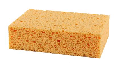 Standard wet sponge number 8 pack of 10