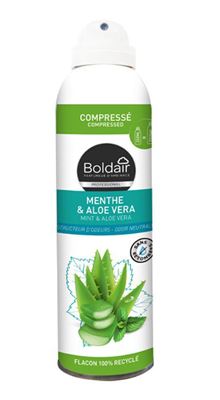 Boldair compressed mint and aloe vera 