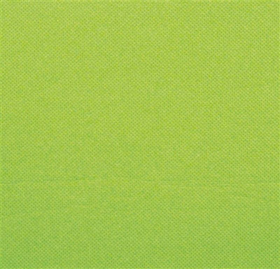 Disposable paper towel 30 x 39 2-ply package pistachio 2400