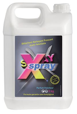 X SPRAY Anios cleaner stain remover overkill 5 liter