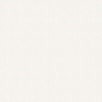 Dunisilk tablecloth white 118x120cm pack of 50