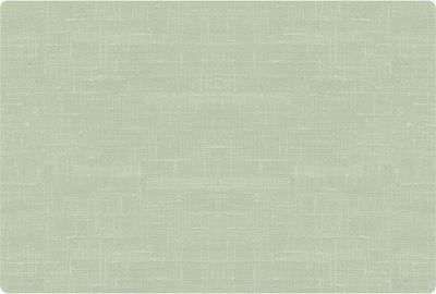 Duni Pistachio Green Silicone Placemat 30 x 45 cm Pack of 6