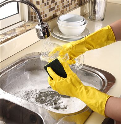Professional household glove pair
