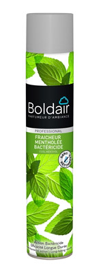 Boldair bactericidal cardboard mint 6x500 ml