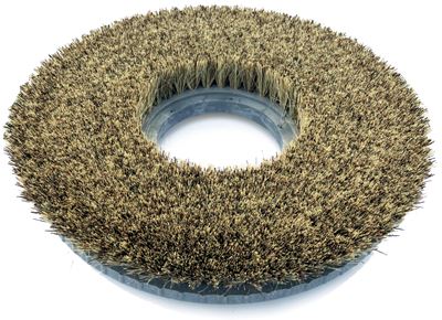 Nilfisk coconut hair brush 355 mm