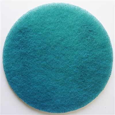 Diamond disc Janex D 432 mm blue N2 grain 800 by 2