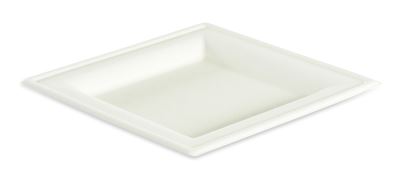 Square biodegradable disposable plate 200x200 by 500